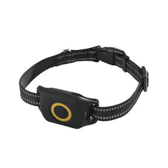 compare product 4G Wireless Portable Real-Time GPS Dog Tracker Suitable For Outdoor Use with Waterproof Durable Collar