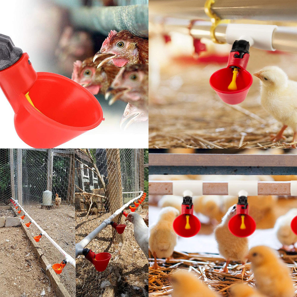 {{ 20x Poultry Chicken Automatic Drinker Cup Waterer Chook Bird Water Feeder Set }} - Buy Car Parts Online at {{ Kaka Auto Parts }}.